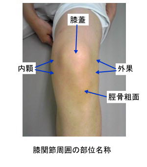 膝の打撲と挫傷