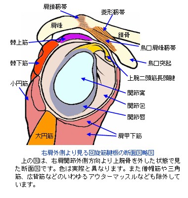 F̒fʐ}