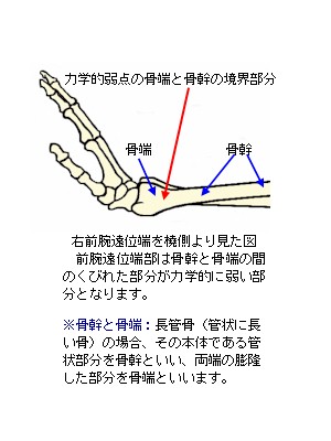 Orʒ[ʗ}