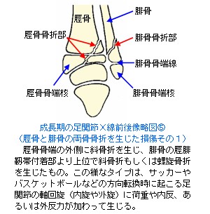 ̑֐XO㑜}T`[JS