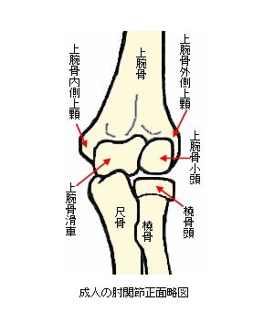 上腕骨内側上顆骨折と骨端線離開 子どもの肘周囲の骨折