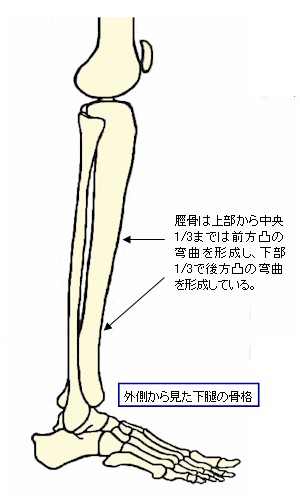 O猩ڂ̍i