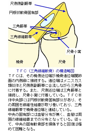 TFC̍\T