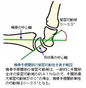 􍜎荪֐߂̔w